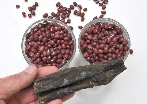 recette cuisson des haricots azukis