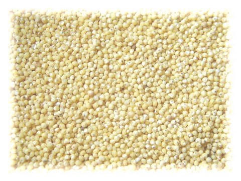 recette millet