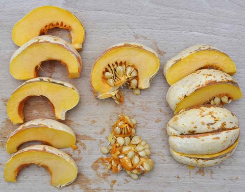 recette patidou vapeur