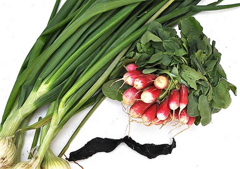 recette soupe radis oignons blancs