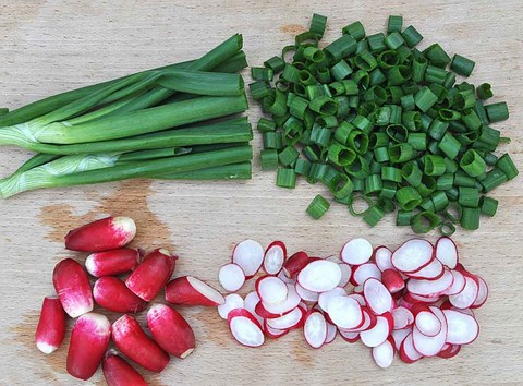 recette soupe radis oignons blancs