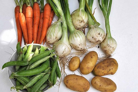recette potée légumes printemps